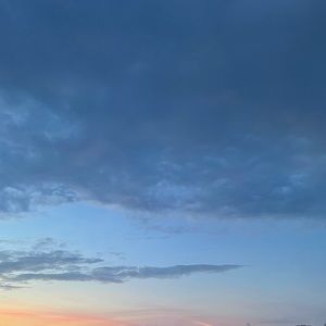 Meet your Posher, Adelaide